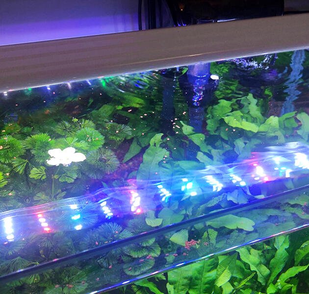 AQUARIUM LIGHT